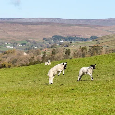 Isaacs Byre Alston